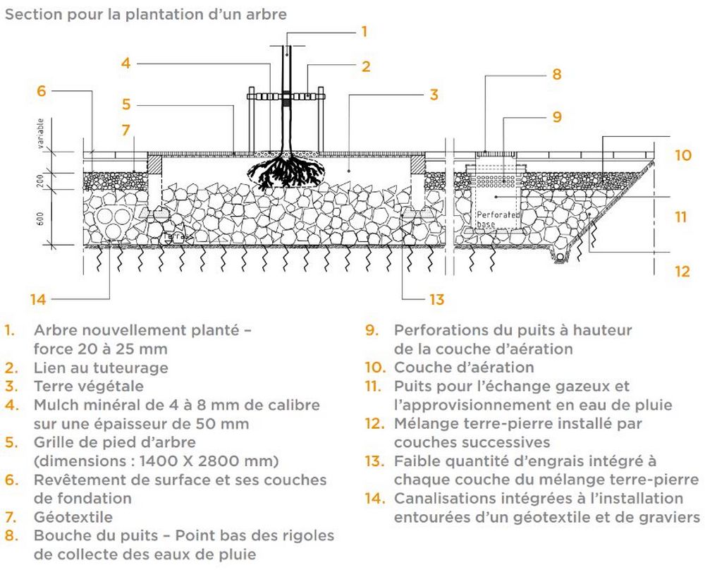 schéma de plantation d'une fosse de stockholm