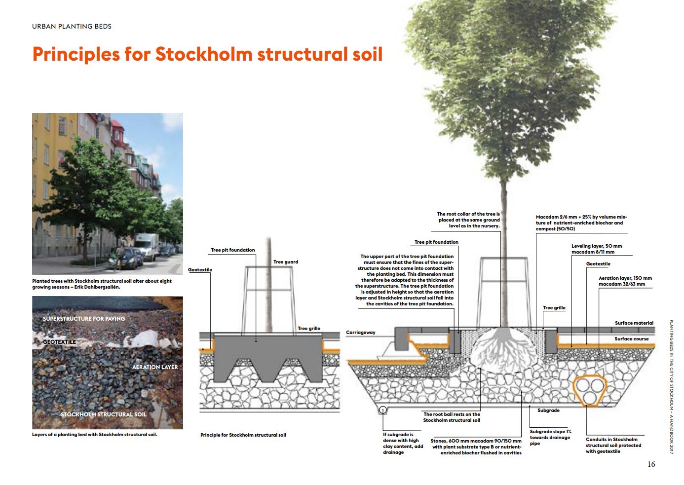 Stockholm tree pits schema