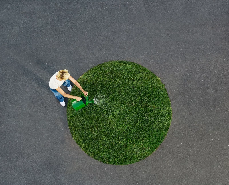 rond herbe rond herbe