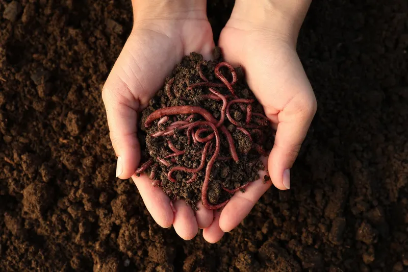 Biodiversité Biodiversité