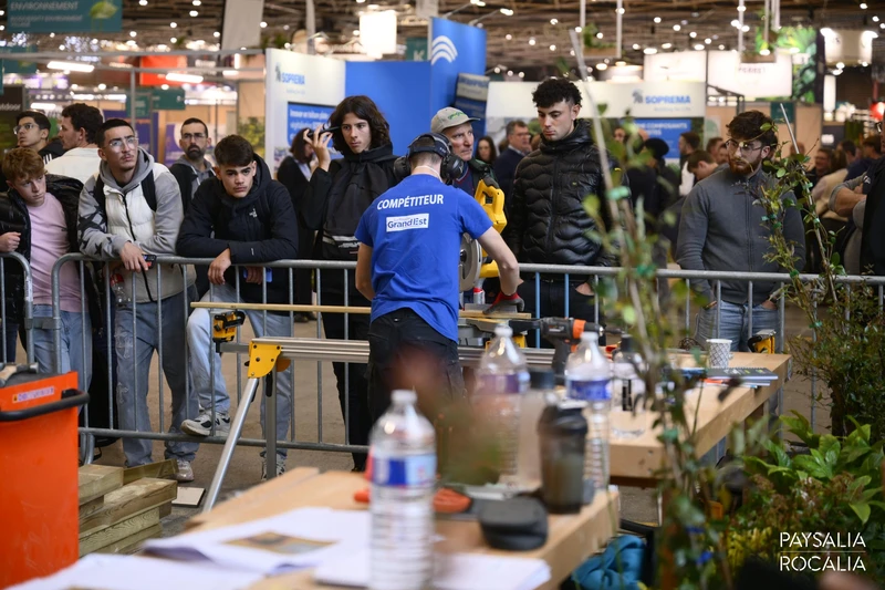 paysalia photos paysalia photos