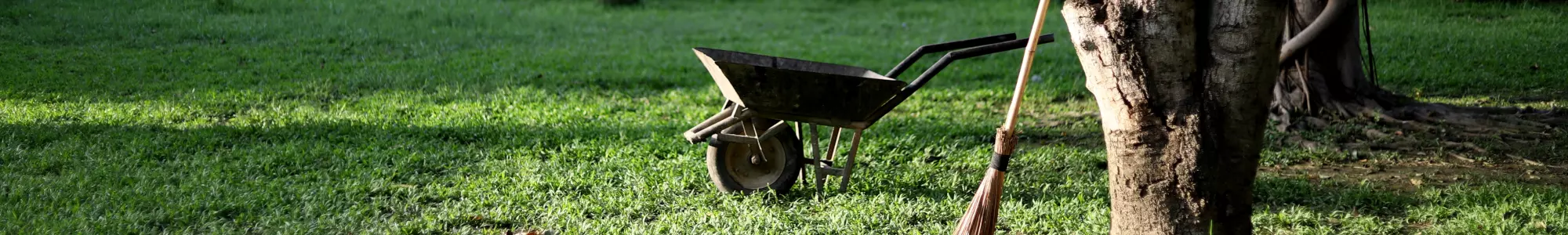 Flashback on Paysalia 2017: that year’s trends in gardens Flashback on Paysalia 2017: that year’s trends in gardens