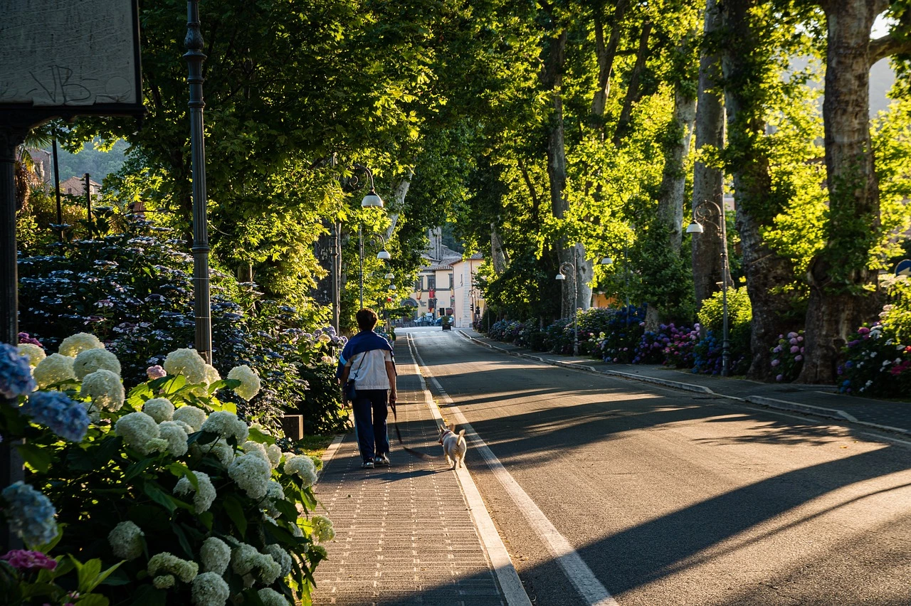 ville verte ville verte
