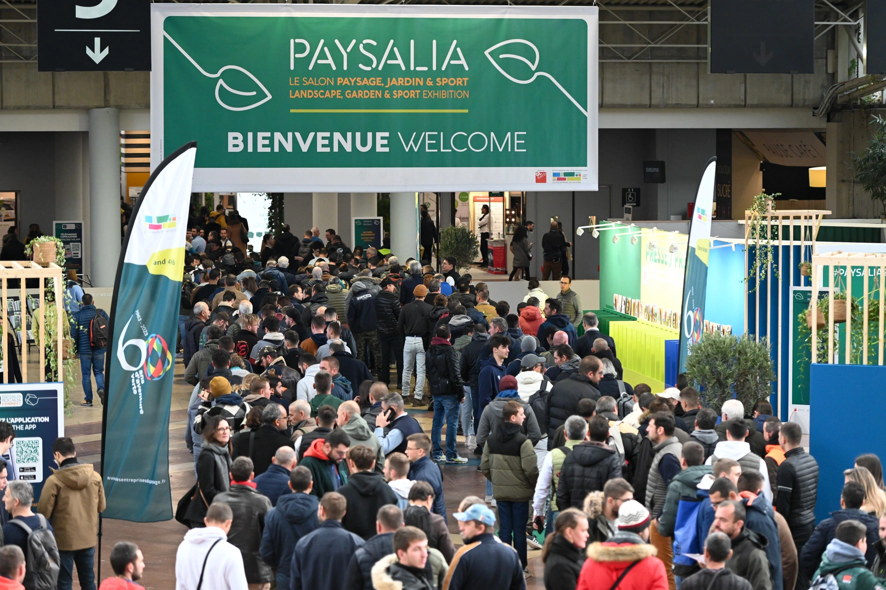 paysalia paysalia