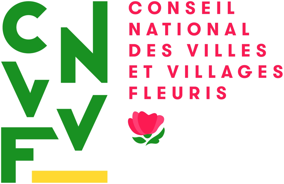 cnvvvf