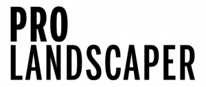 partenaire