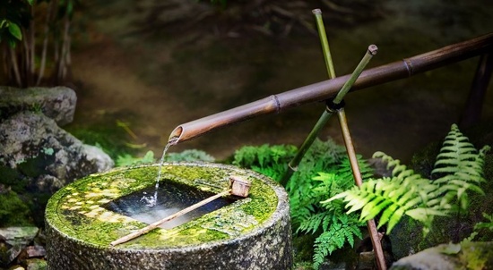 Jardins d'eau Jardins d'eau