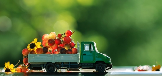 Echanges dans le secteur horticole