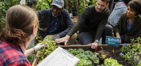 jardin insertion jardin insertion