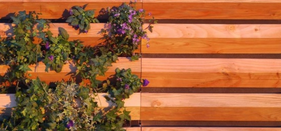 mur végétal mur végétal