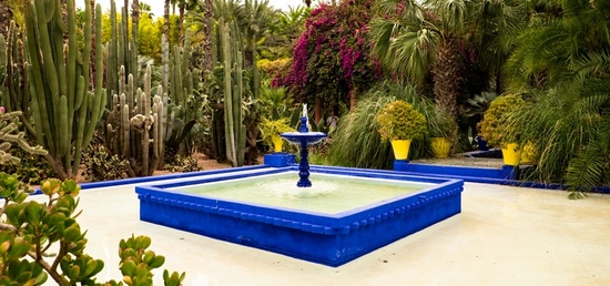 Le jardin Majorelle au Maroc Le jardin Majorelle au Maroc