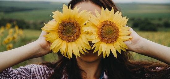 Utiliser la vue dans un aménagement paysager Utiliser la vue dans un aménagement paysager