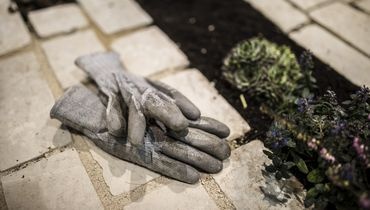 Evolution du jardin privé