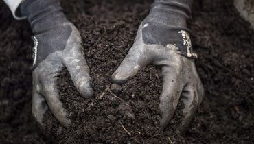 Fournisseur officiel Carré des Jardiniers Fournisseur officiel Carré des Jardiniers