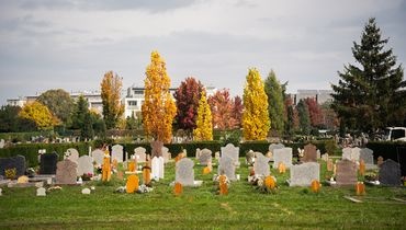 Cimetière végétalisé de Strasbourg Cimetière végétalisé de Strasbourg