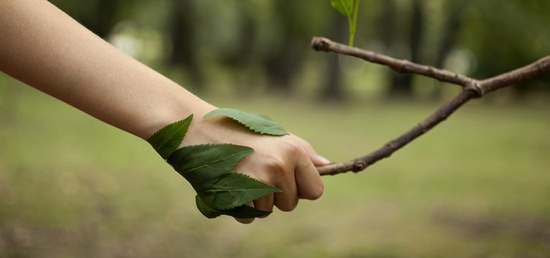 Conclure une vente en tant que paysagiste Conclure une vente en tant que paysagiste