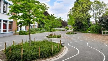 Cour d'école végétalisée