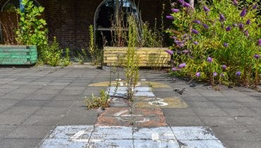 Cour d'école végétalisée Cour d'école végétalisée