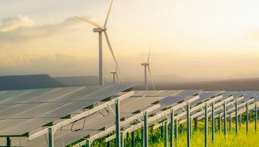 Décarbonation de la filière paysage Décarbonation de la filière paysage