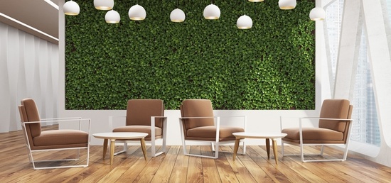 Design biophilique dans un espace intérieur Design biophilique dans un espace intérieur