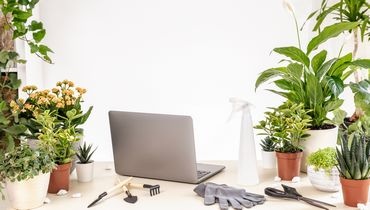 Digitaliser une entreprise paysagiste