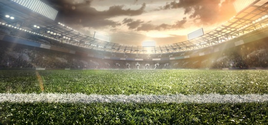 Dossier gestion d'un terrain de sport Dossier gestion d'un terrain de sport