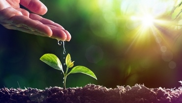 Dossier apprenti paysagiste Dossier apprenti paysagiste