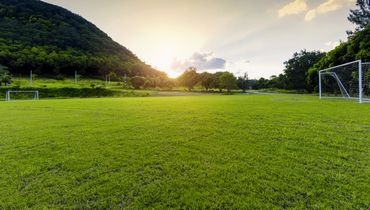 Guide de l'entretien zéro phyto dans les terrains de sport Guide de l'entretien zéro phyto dans les terrains de sport