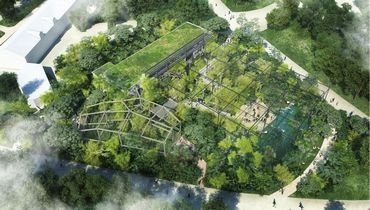 Forêt d'Asie du parc de la Tête d'Or Forêt d'Asie du parc de la Tête d'Or