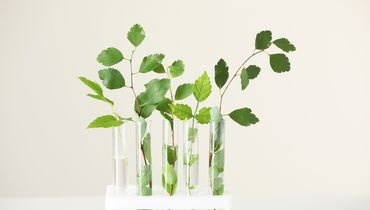 Génie écologique chez les paysagistes Génie écologique chez les paysagistes