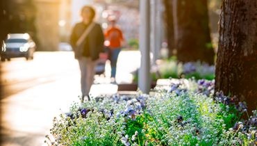 Interview de Stéphane Delavallade Interview de Stéphane Delavallade