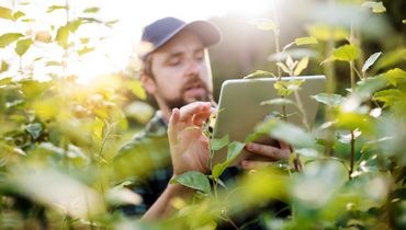 Outils de digitalisation d'une entreprise paysagiste Outils de digitalisation d'une entreprise paysagiste