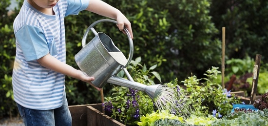 enfant arrosoir enfant arrosoir