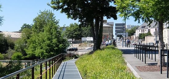 plante et cité enquête nationale