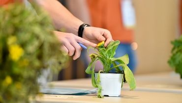 Village emploi et formation 2019 Village emploi et formation 2019