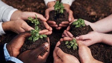 Rejoindre un réseau professionnel paysagiste Rejoindre un réseau professionnel paysagiste