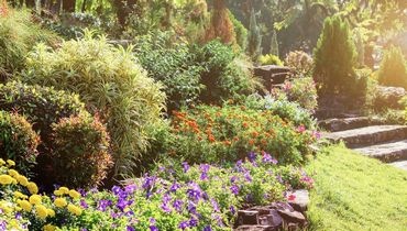 Les tendances du jardin 2021 Les tendances du jardin 2021