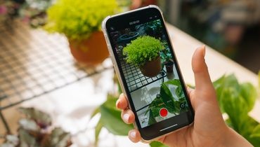 Tiktok de paysagistes Tiktok de paysagistes