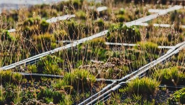 Caractéristiques des toitures végétalisées Caractéristiques des toitures végétalisées