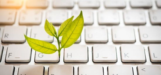 paysage digital paysalia paysage digital paysalia