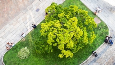 Bienfaits du végétal en ville