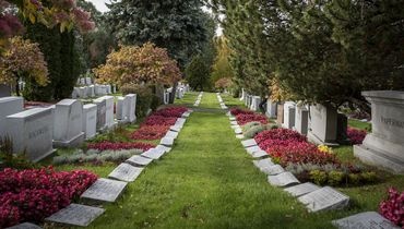 Végétalisation d'un cimetière Végétalisation d'un cimetière