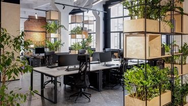 Lieu de travail végétalisé Lieu de travail végétalisé