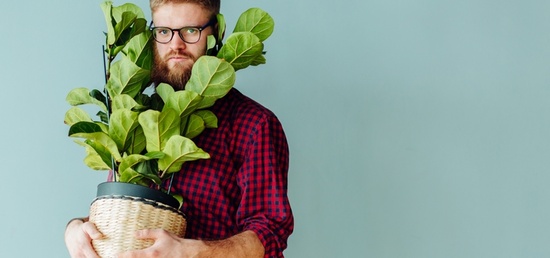 Un particulier porte un végétal d'intérieur Un particulier porte un végétal d'intérieur