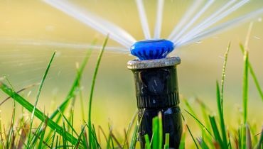 Arrosage automatique Arrosage automatique