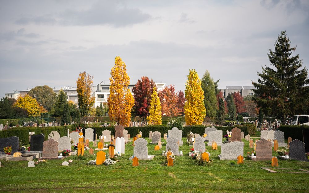 À Strasbourg, les cimetières végétalisés « zérophyto » sont déjà la