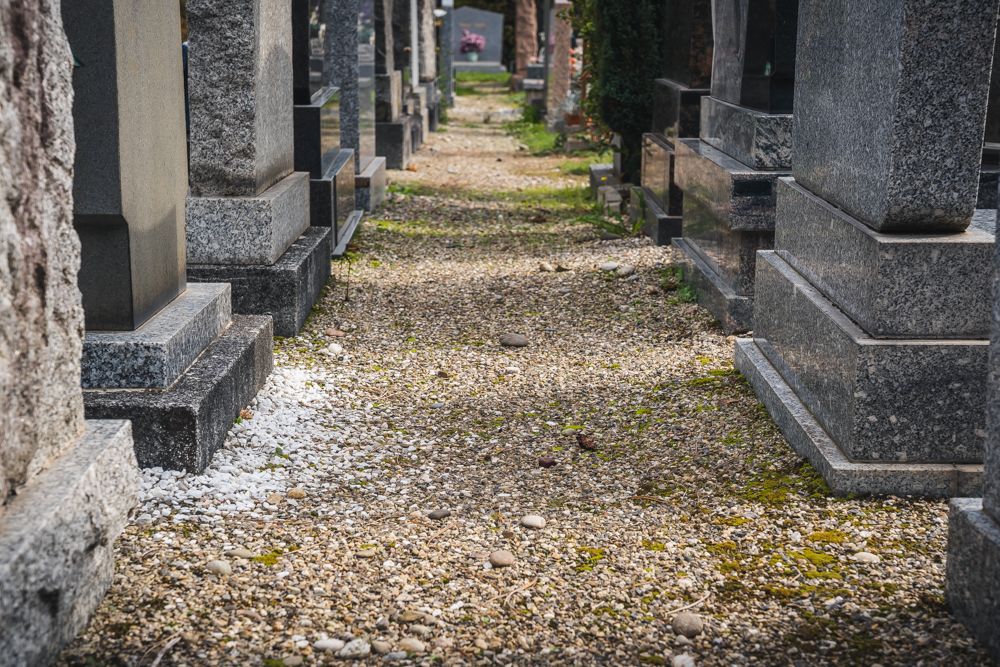 À Strasbourg, les cimetières végétalisés « zérophyto » sont déjà la